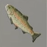ほの暮しの庭_ニジマス