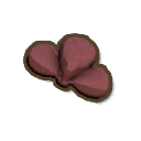 ディンカム_調理済みサボテンイチジク_アイコン