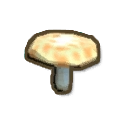 ディンカム_食用キノコ_アイコン