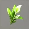 ほの暮しの庭_水芭蕉