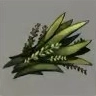 ほの暮しの庭_雑草