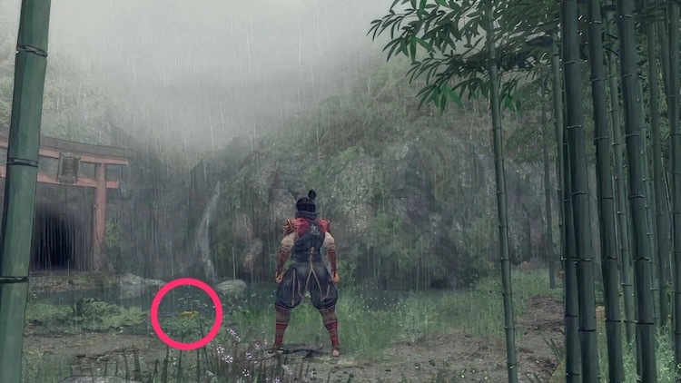 鬼武者2_カエル width=