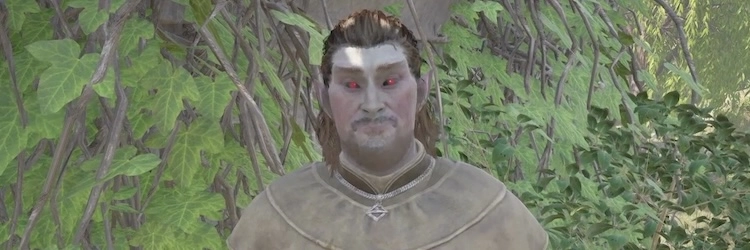 オブリビオン_ヴァーミルナ_バナー