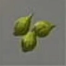 ほの暮しの庭_草の実