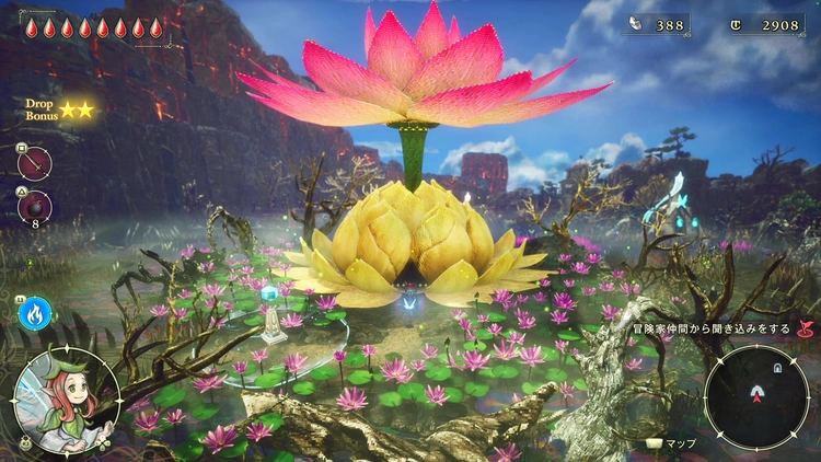 虹の蓮華_周辺