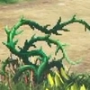 FFレゾナンス_イビルプラント