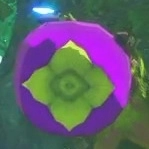 モンハンストーリーズ3_凶異ビシュテンゴ_柿1