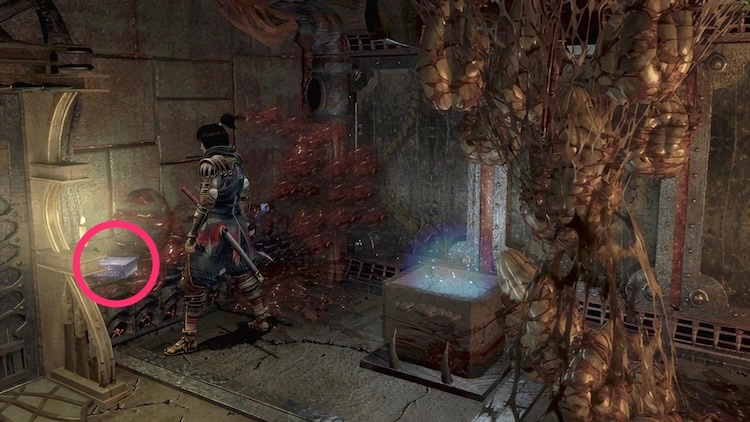 鬼武者2_ギルデンスタンの書_周辺