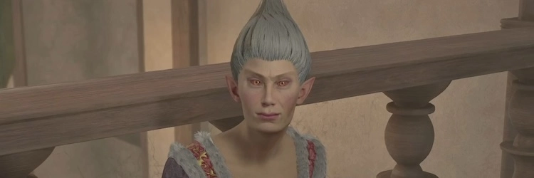 オブリビオン_レヤウィンの推薦状_バナー