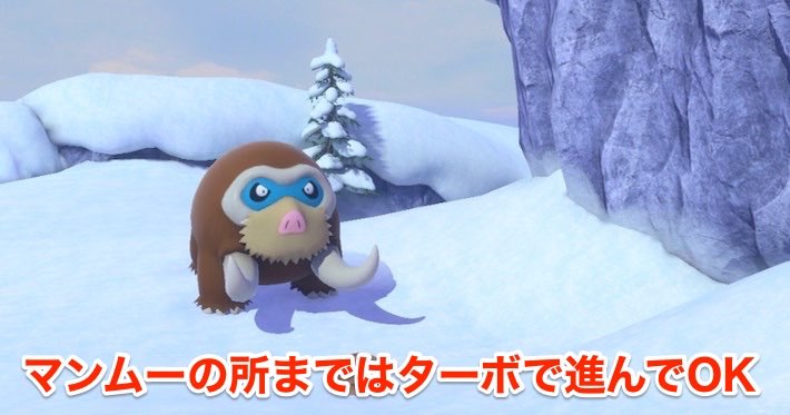 ポケモンスナップ_マンムー_雪原を見下ろして