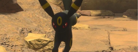 ポケモンスナップ_ブイズ_ブラッキー