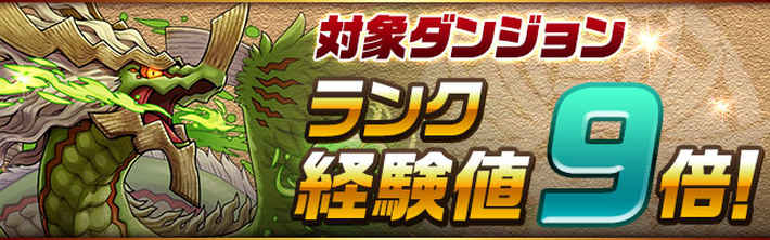 パズドラ_対象ダンジョン　ランク経験値9倍！