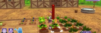 ルーンファクトリー5_アイテム複数持ち