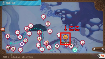 ポケモンスナップ_クリスタフラワー_雪原2