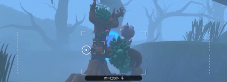 ポケモンスナップ_森の番人の裏の顔_腕に乗る