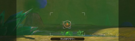 ポケモンスナップ_倍々ドガース_クリスタフラワー