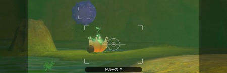 ポケモンスナップ_倍々ドガース_ふわりんご