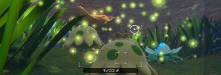 ポケモンスナップ_ダンシングトリオ_キノココ