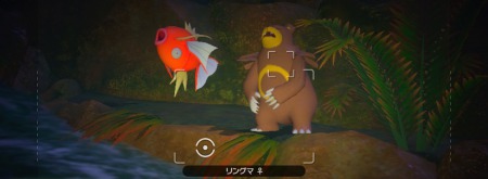 ポケモンスナップ_リングマの勇姿？_たいあたり