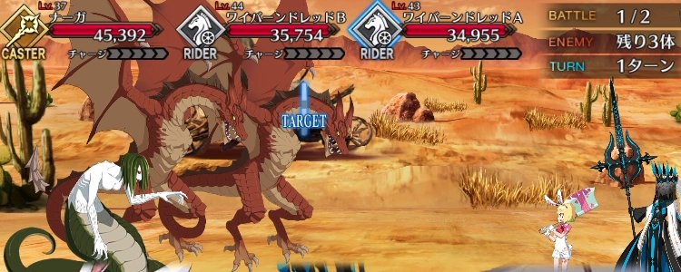 FGO_89