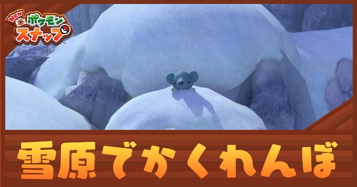 ポケモンスナップ_雪原でかくれんぼ