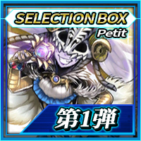 SELECTIONBOX_Petit_第1弾