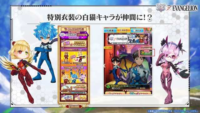 20211029shironeko010