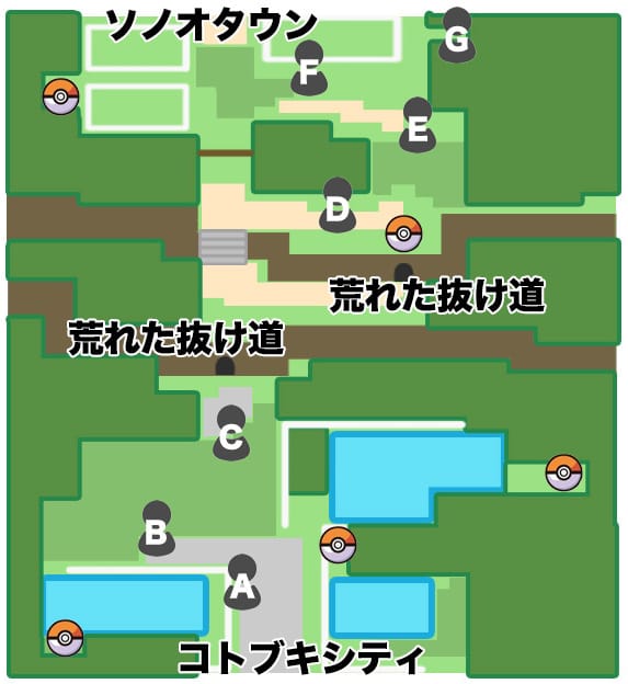 ポケモンBDSP_204番道路