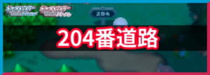 204番道路の出現ポケモンと入手アイテム