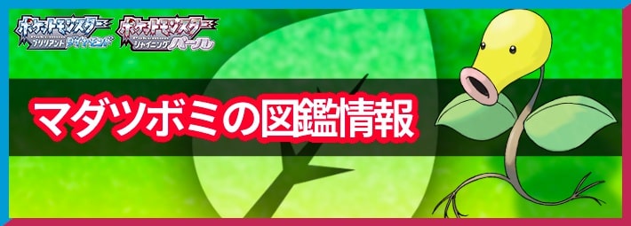 ポケモンbdsp マダツボミの入手方法と覚える技 Appmedia