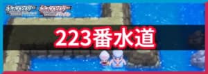 223番水道の出現ポケモンと入手アイテム