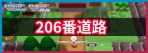 206番道路の出現ポケモンと入手アイテム