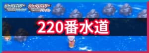 220番水道の出現ポケモンと入手アイテム