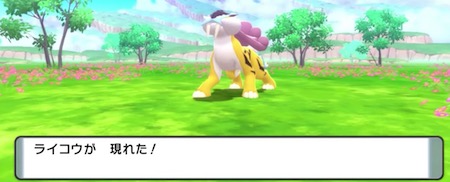 ポケモンBDSP_ライコウ