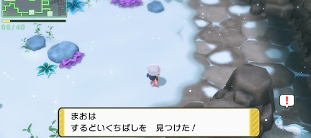 ポケモンbdsp するどいくちばしの入手方法と効果 使い道 ダイパリメイク Appmedia