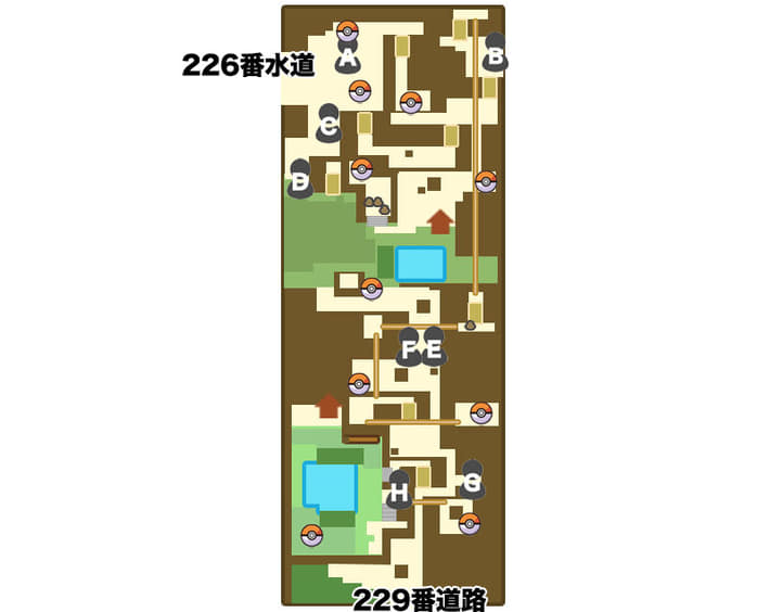 ポケモンBDSP_228番道路