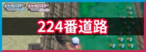 224番道路の出現ポケモンと入手アイテム