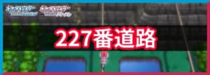 227番道路の出現ポケモンと入手アイテム