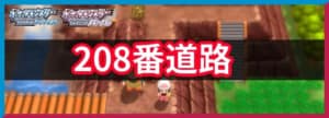 208番道路の出現ポケモンと入手アイテム