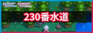 230番道路の出現ポケモンと入手アイテム