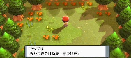 ポケモンbdsp みかづきのはねの入手方法と効果 使い道 ダイパリメイク Appmedia