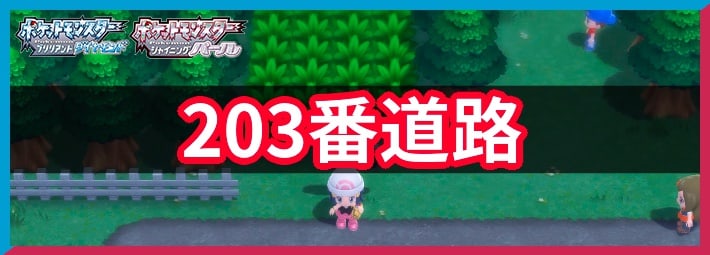 ポケモンBDSP_203番道路