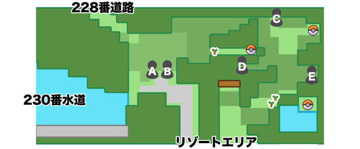 ポケモンBDSP_229番道路