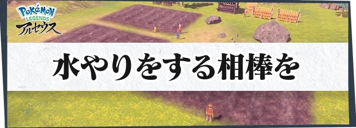 アルセウス 水やりをする相棒をの攻略情報 サブ任務42 ポケモンレジェンズ Appmedia