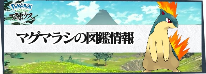 ポケモンLA_マグマラシ_図鑑情報