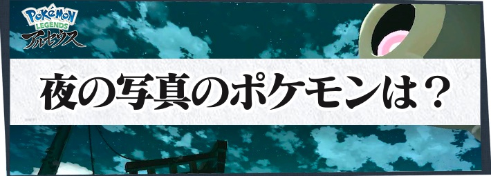 ポケモンLA_サブ任務44_夜の写真のポケモンは？