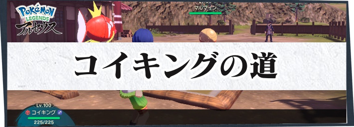 アルセウス いっぴき道 コイキングの道の攻略情報 サブ任務117 ポケモンレジェンズ Appmedia