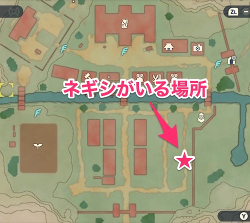 レジェンズアルセウス_なつき度_ネギシ