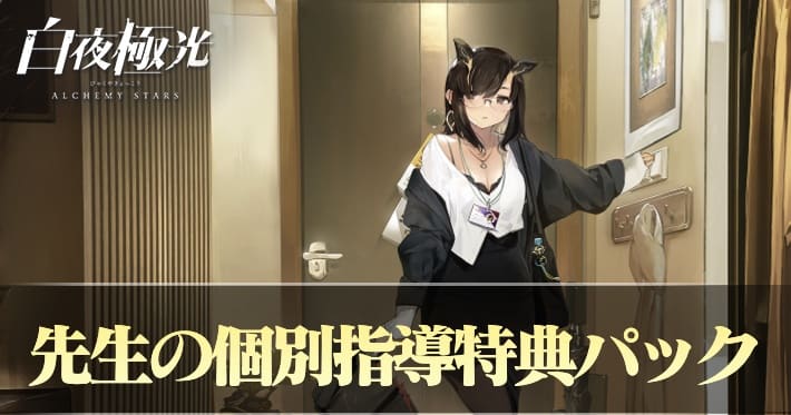 白夜極光 先生の個別指導特典パック