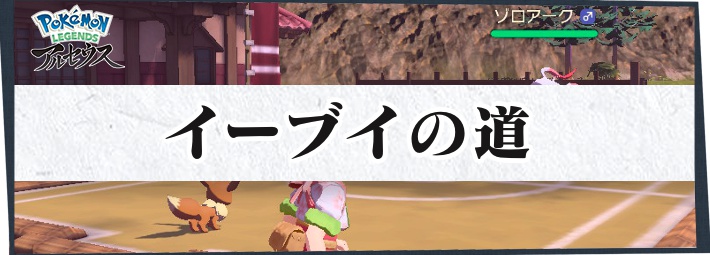 ポケモンLA_サブ任務109_いっぴき道_イーブイの道